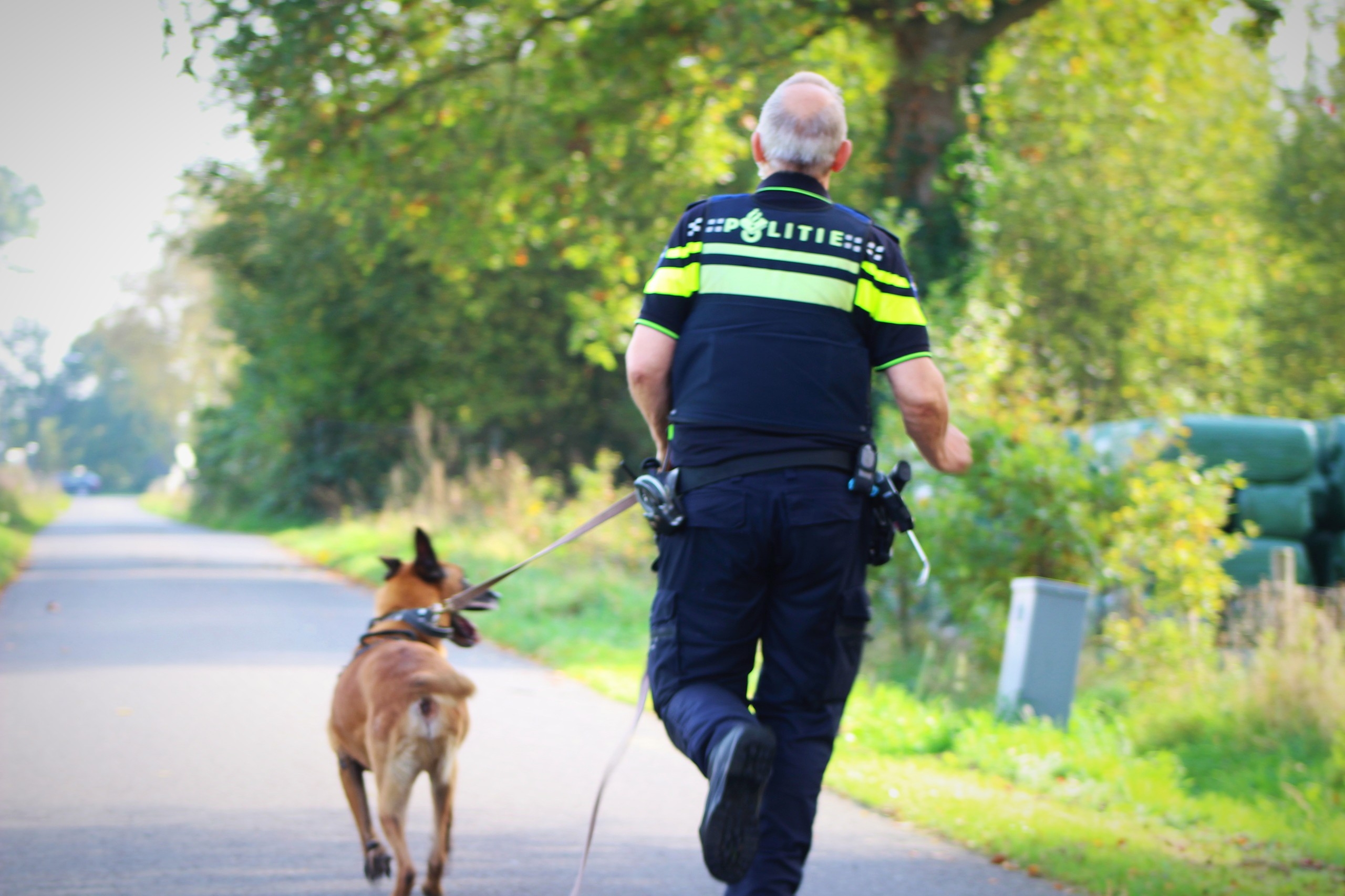 Automobilist rijdt door vier tuinen