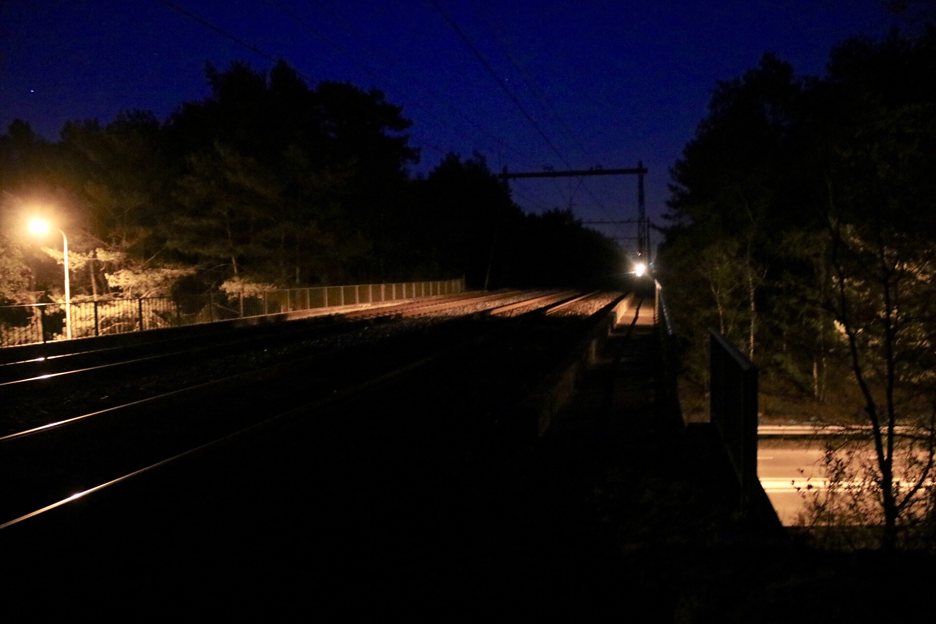 Trein botst tegen dier; treinen rijden stapvoets Trein botst tegen dier; treinen rijden stapvoets