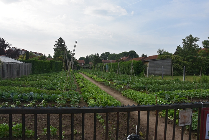 Voor schoolkinderen die groene vingers willen