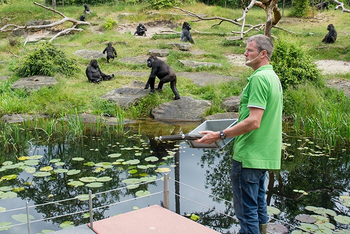 Prestigieuze prijs voor Apenheul