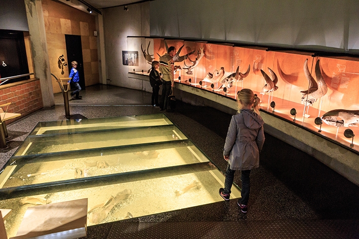 Ondergronds museum viert 25-jarig jubileum