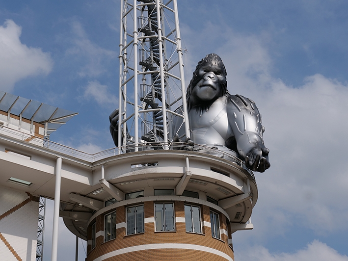 Gorilla op de uitkijk