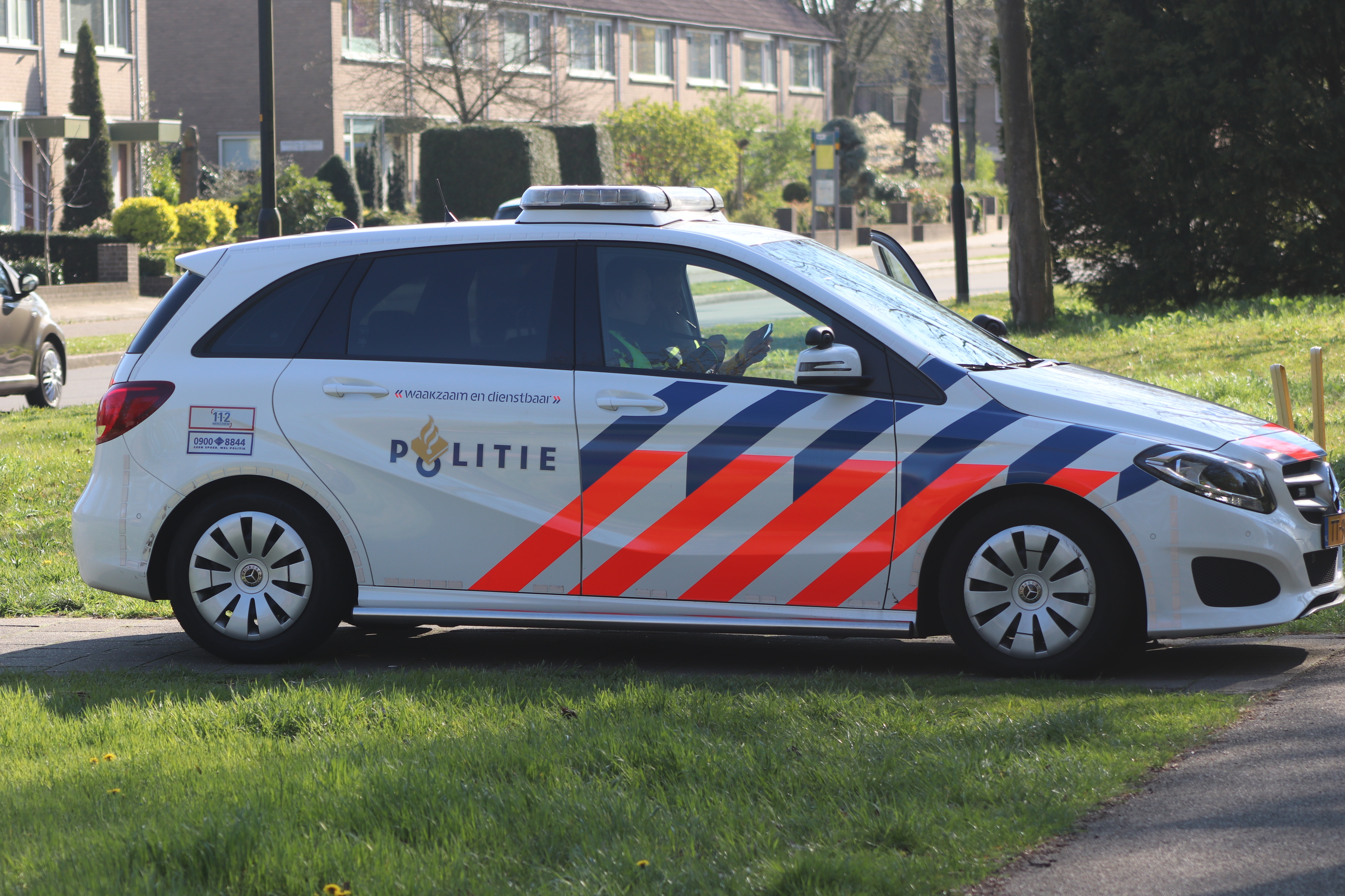 Eenden mishandeld op het Vogeleiland in Deventer