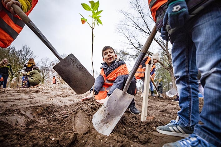 Plek gezocht voor drienieuwe Tiny Forests