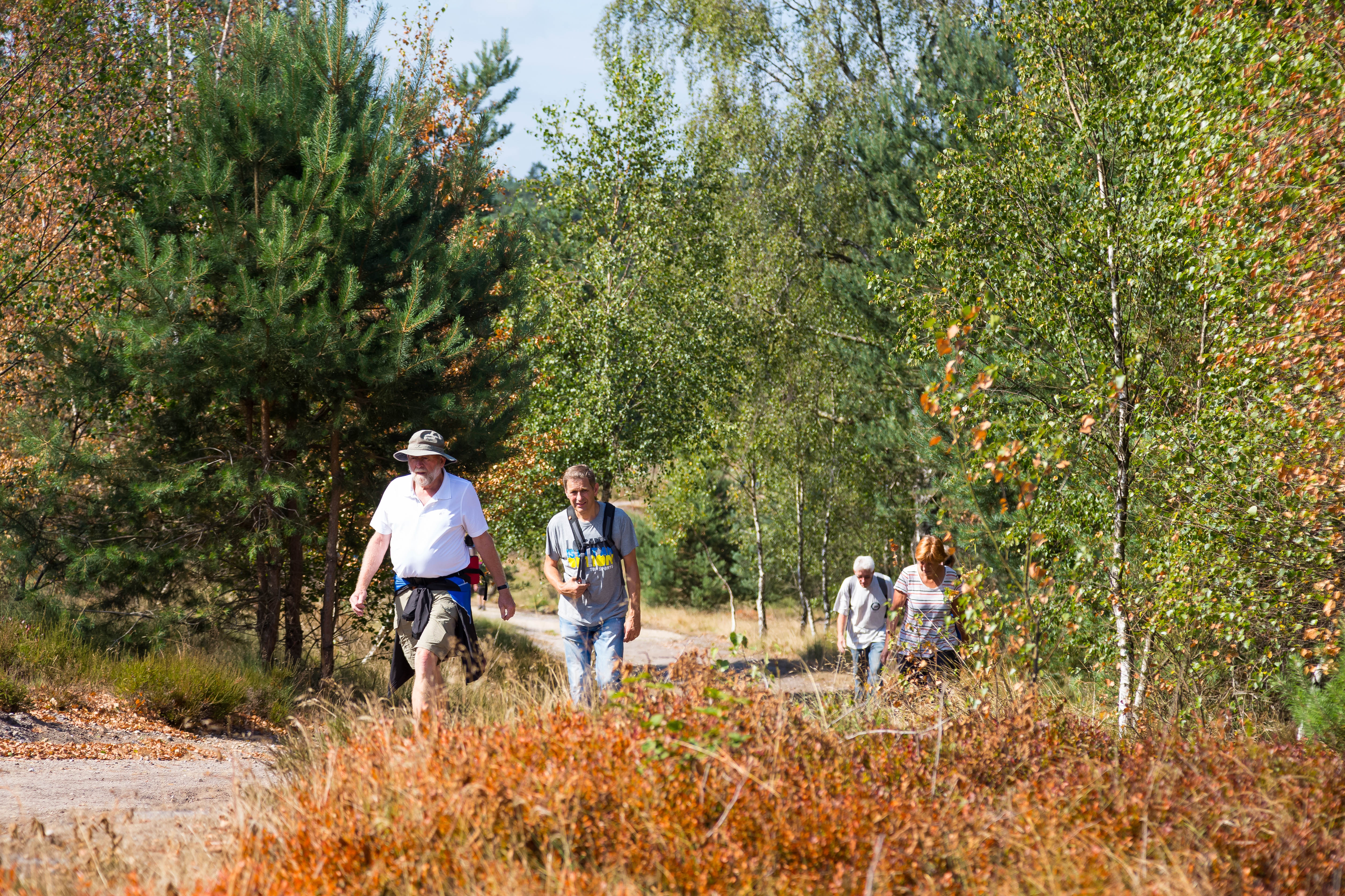 Wandelen door al het groen
