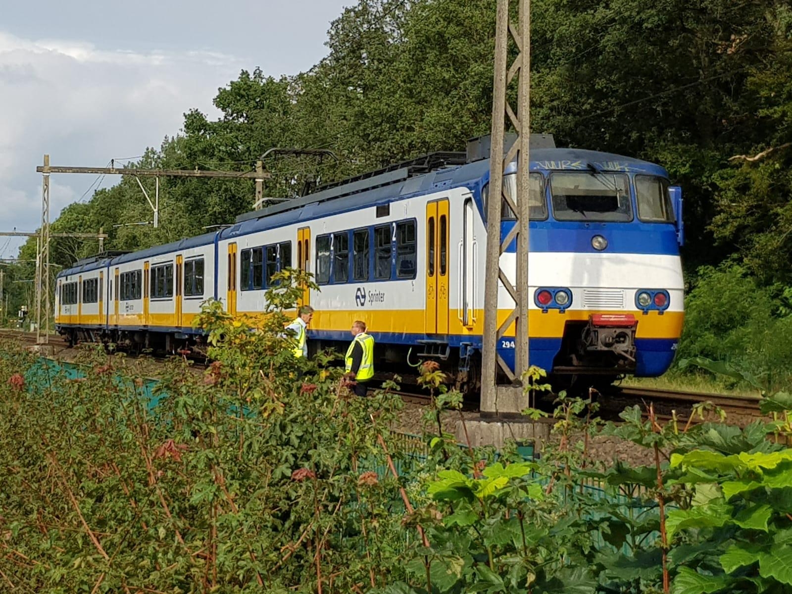 Paard wordt aangereden door trein