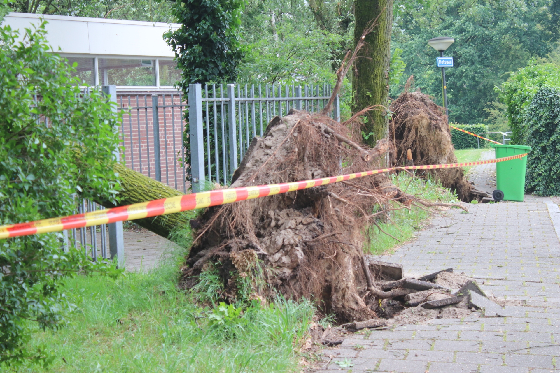 Omgewaaide bomen of losse takken door stormschade Omgewaaide bomen of losse takken door stormschade