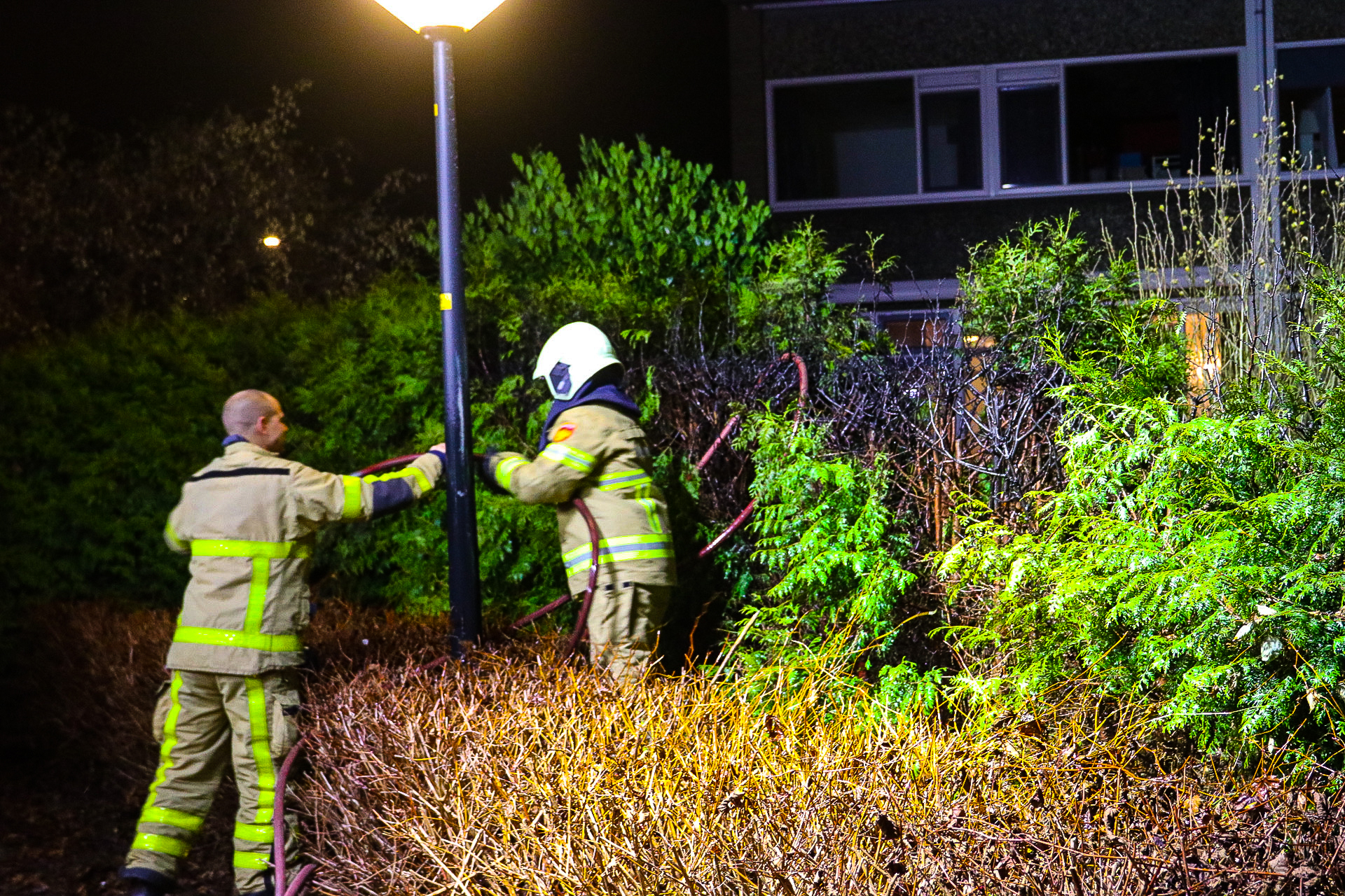 Brand in coniferenhaag snel geblust