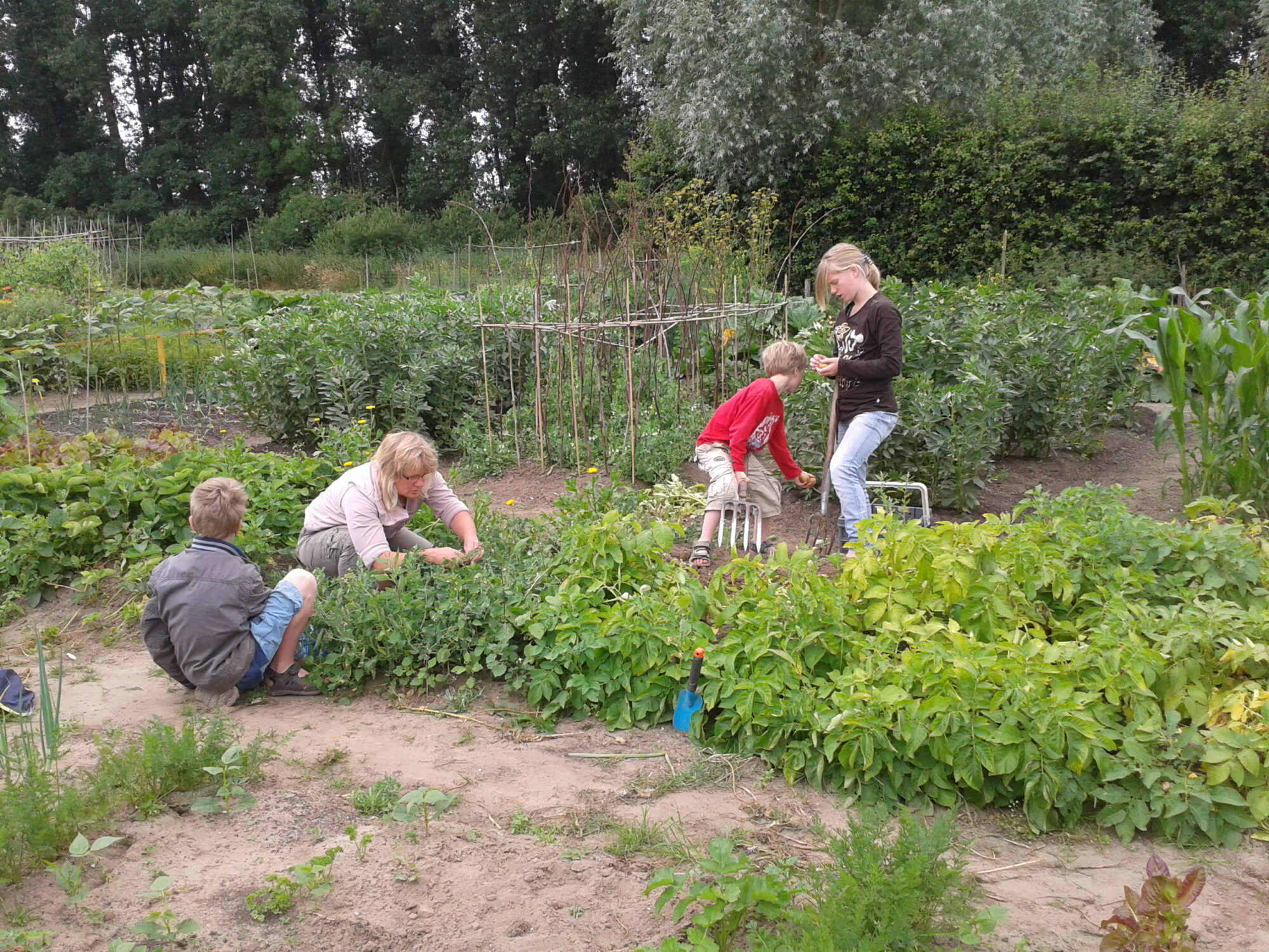 Hof van Twello specialist in knusheid en gezond eten