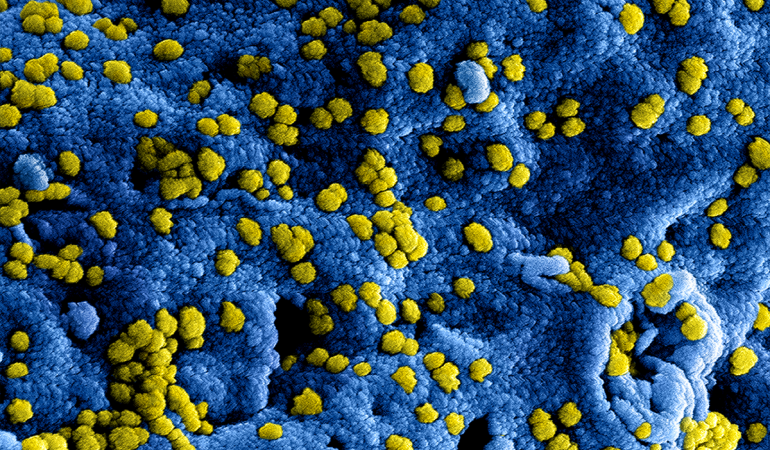 Eerste patiënt met coronavirus in Nederland