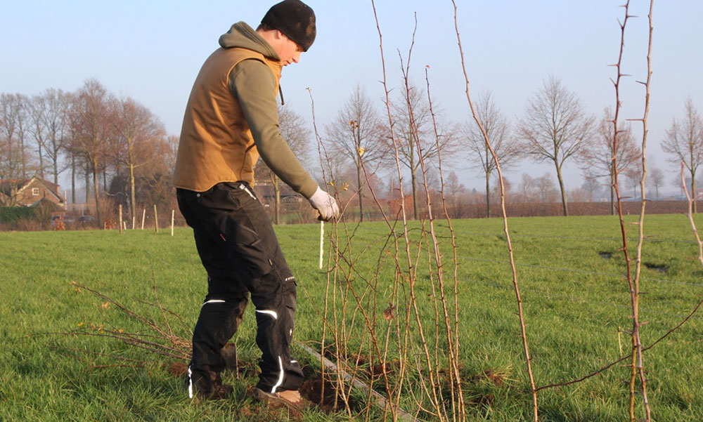 Versterking van het landschap