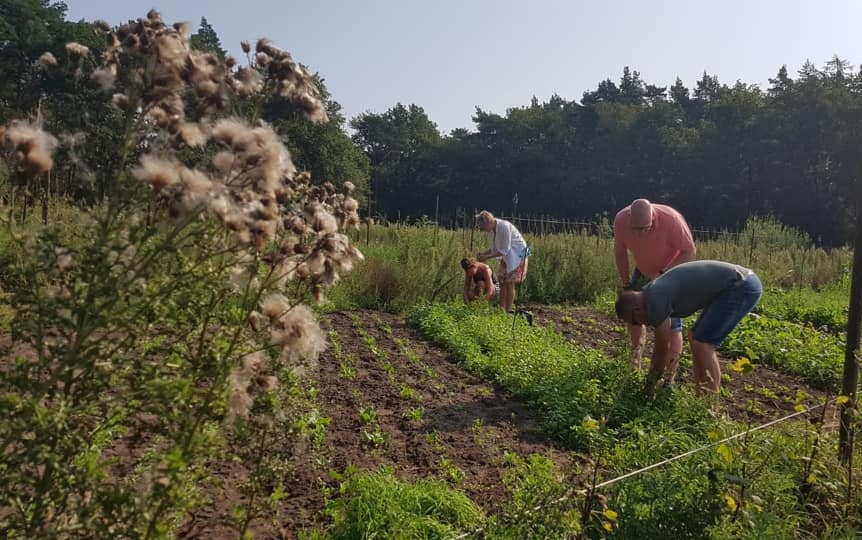 Naar eigen wens oogsten