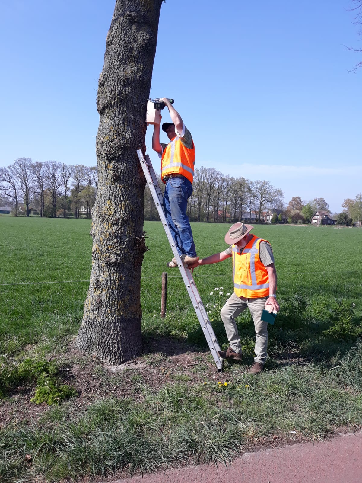 Nestkasjes geplaatst tegen de eikenprocessierups in Klarenbeek