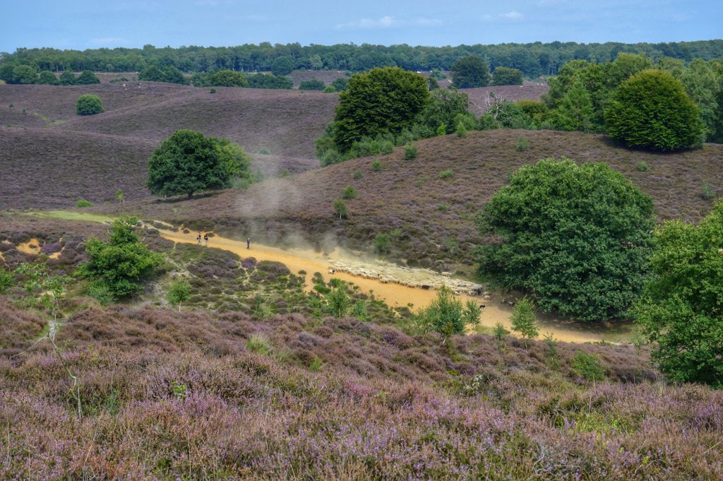 OV en Staatsbosbeheer: “Blijf dit weekend thuis!”
