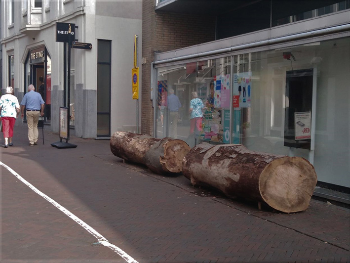 Bomen winnen het van fietsen in binnenstad