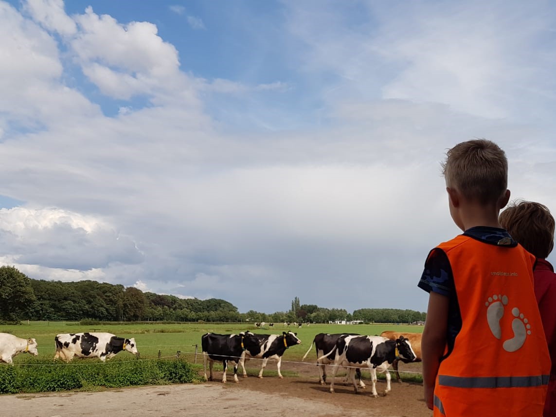 Zomertip: Kijkje in het boerderijleven