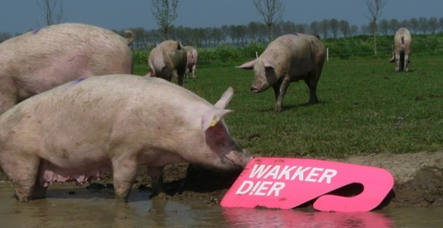 Eet Geen Dierendag