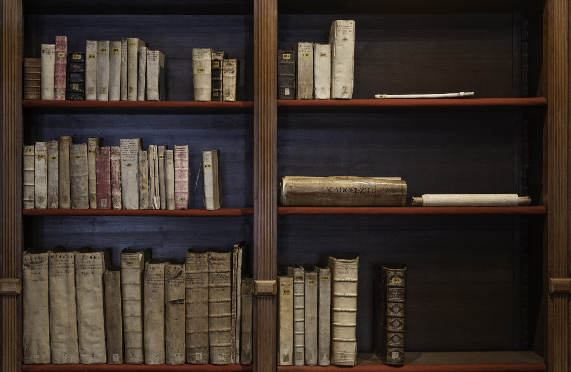 Kijkje in handschriften uit Harderwijk