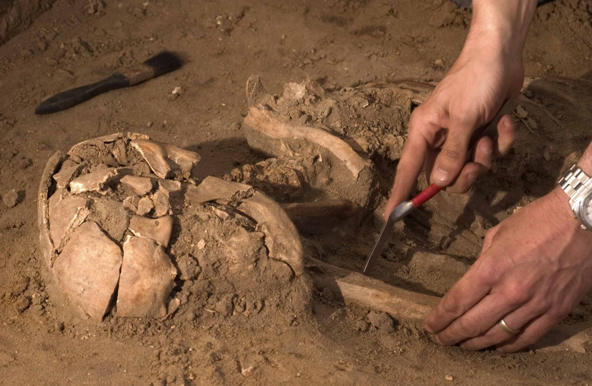 Op zoek naar Hamaland