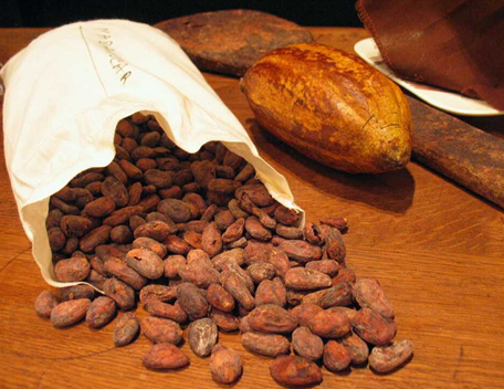 De geheimen van cacao ontrafeld