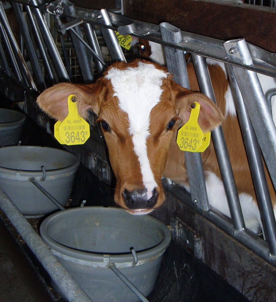 Boeren aan de slag met toekomstbestendig verdienmodel