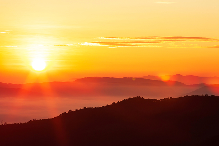 Waarom een mindfulness training volgen?