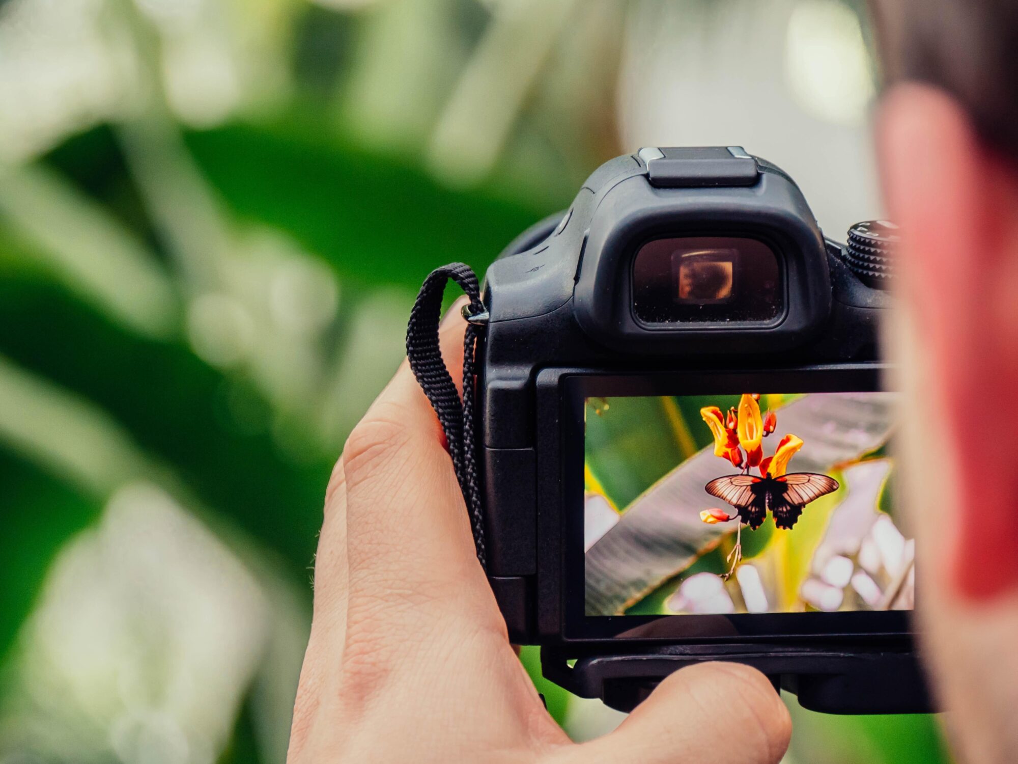 Fotowedstrijd zet biodiversiteit centraal