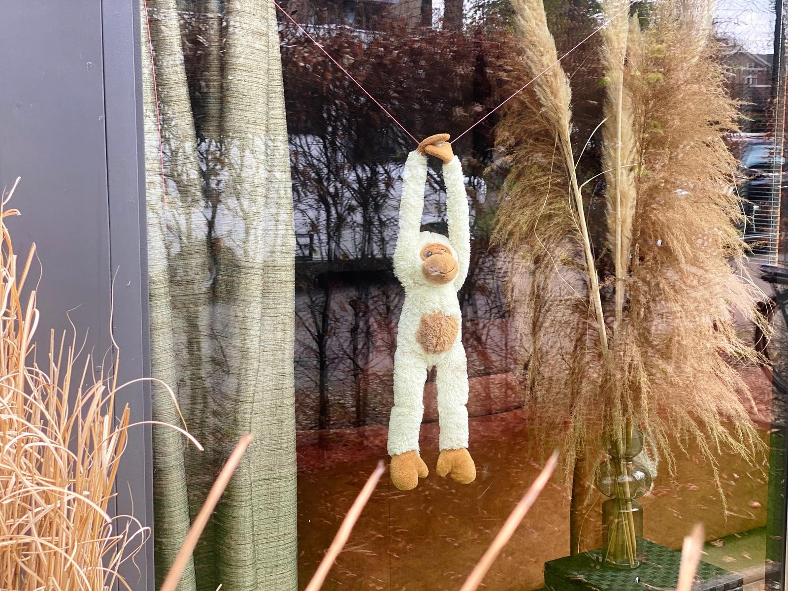 Op knuffelapenjacht in Apeldoorn
