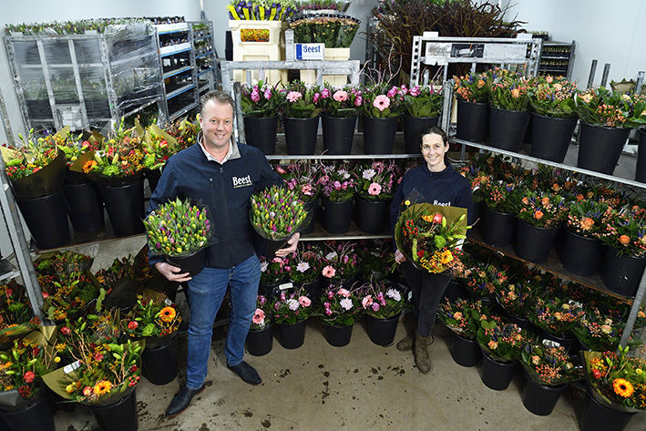 Dagverse bloemen rechtstreeks vanaf de veiling