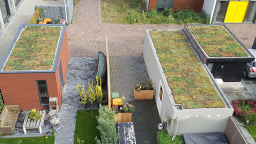 Steeds meer inwoners Overijssel vergroenen eigen omgeving