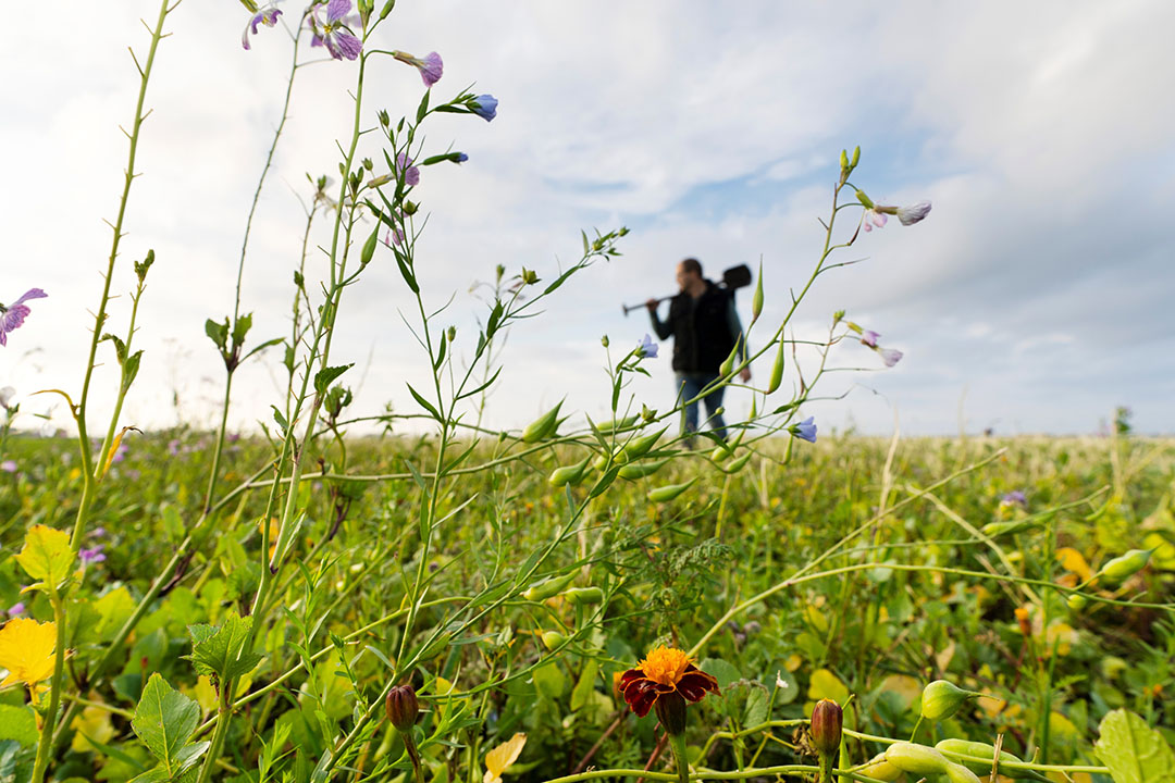 Gelders platform voor boeren met natuurinclusieve landbouw