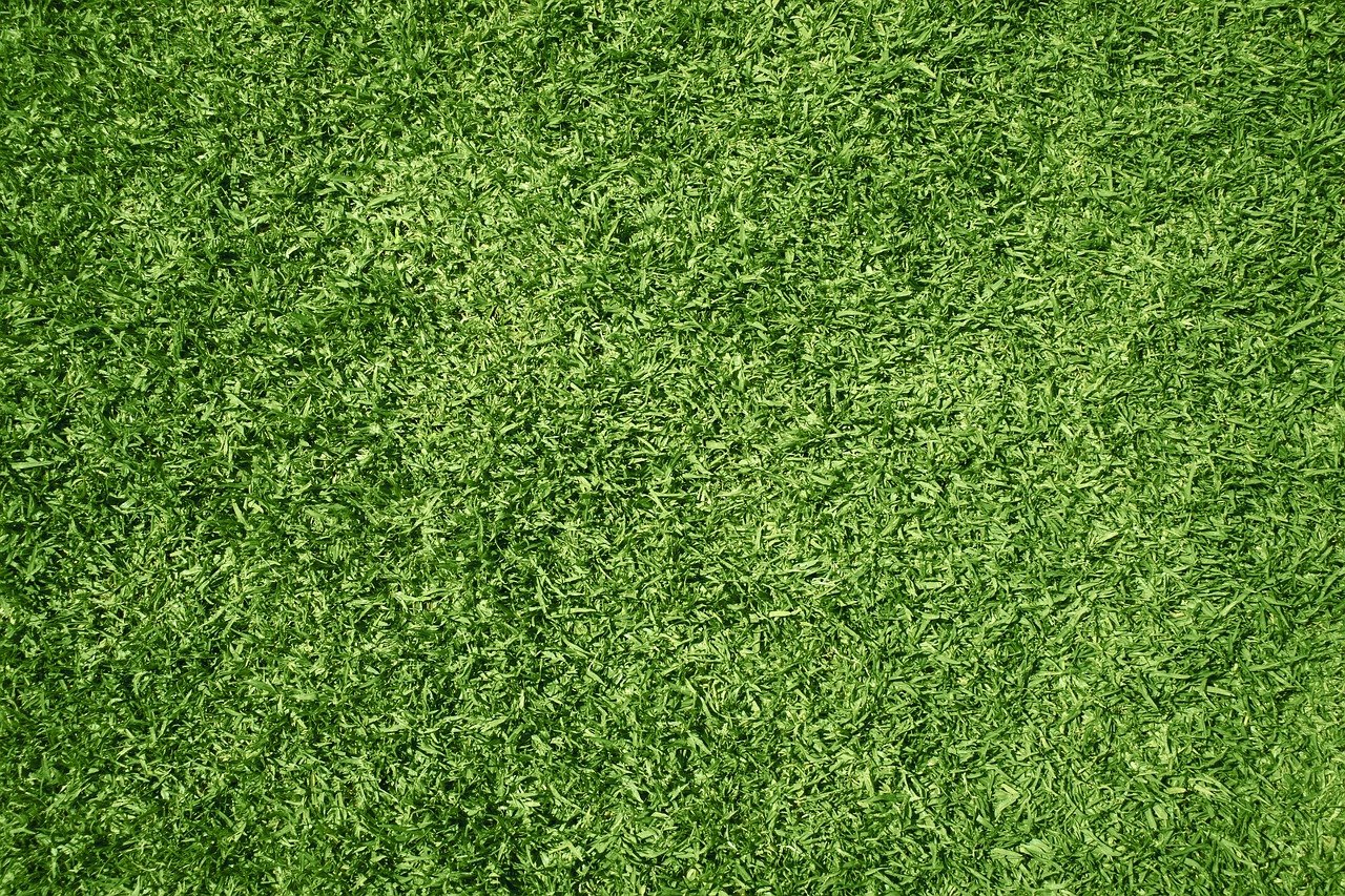 Kunstgras – soorten, voordelen, toepassing