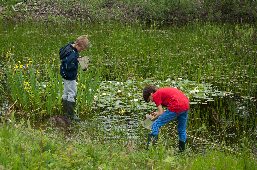 Watermiddag op Gorsselse Heide
