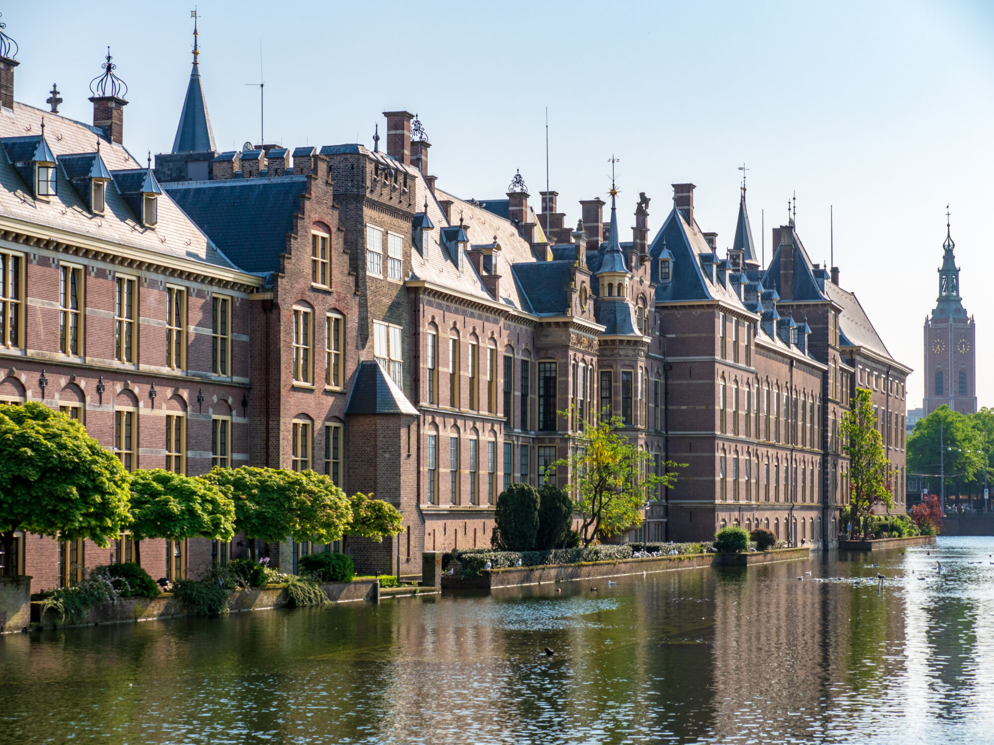 GroenLinks Zutphen wil Artikel 1 zichtbaar op alle scholen