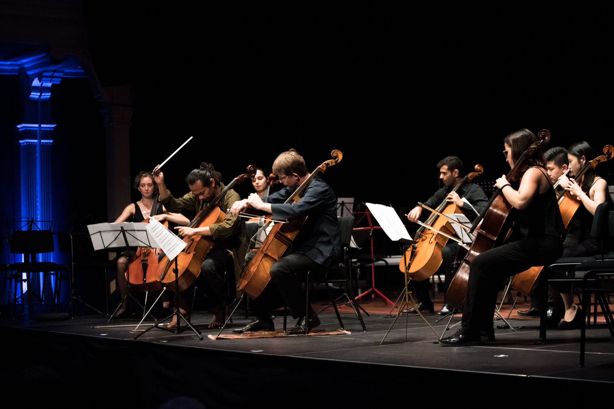 Verrassend en veelbelovend thema Cellofestival