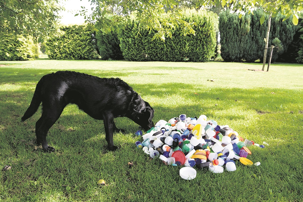 Doppen voor de geleidehonden