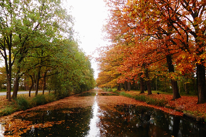 Herfsttocht op de fiets