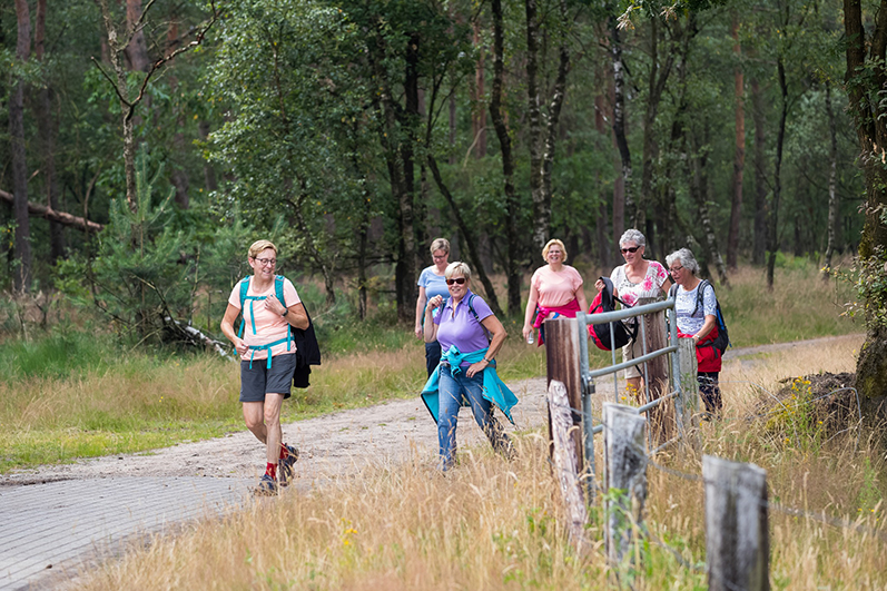 Royaal wandelen door de natuur