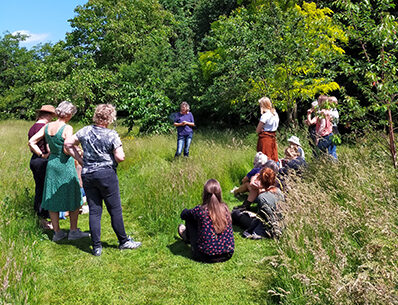 Open dag Florae Renderend Landschap