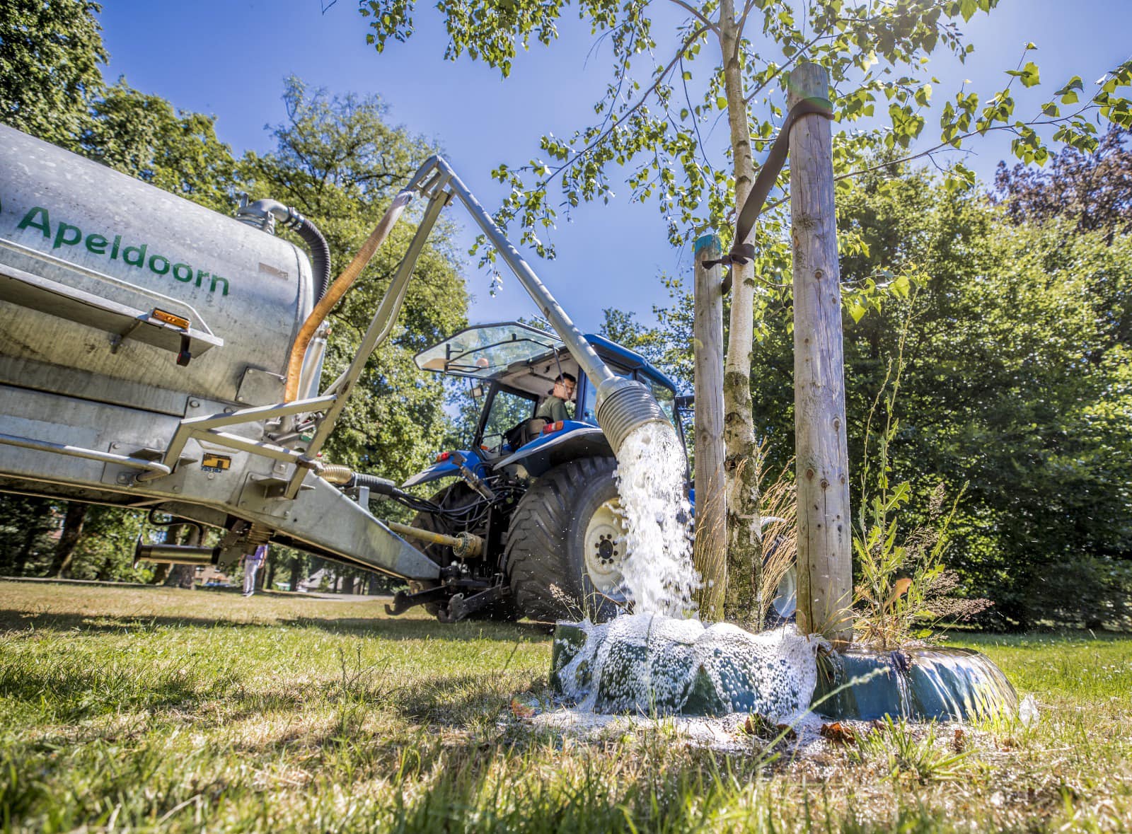 Bewateren jonge bomen