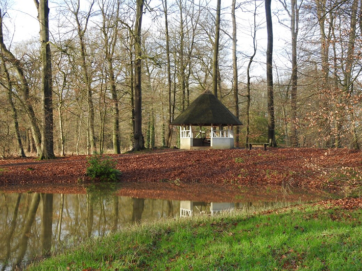 Met je smartphone het bos in