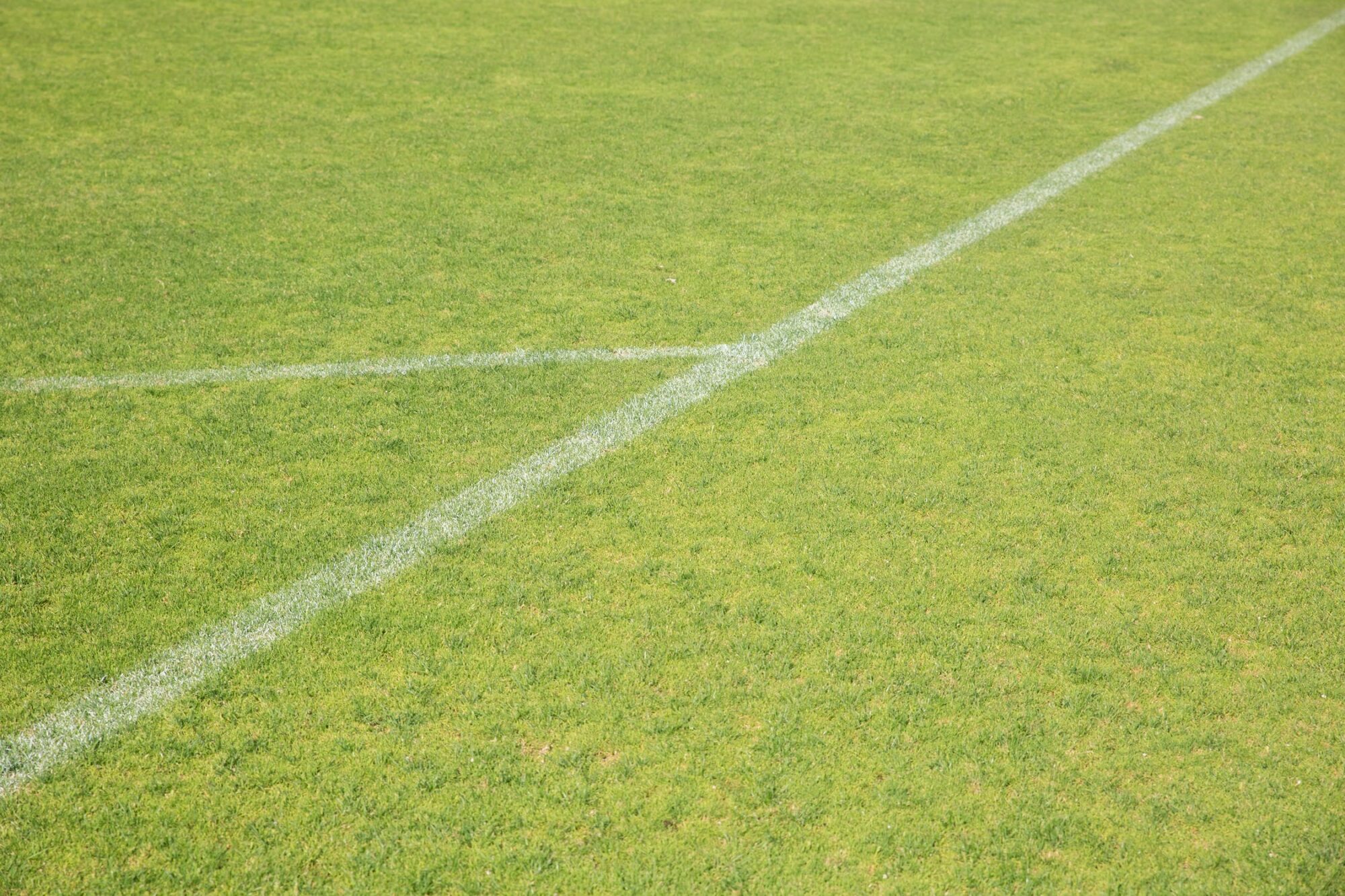 Leestips: deze vijf hilarische voetbalboeken gaan amper over voetbal
