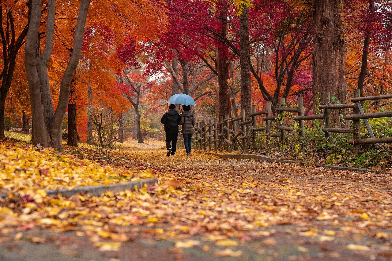 Wandelen in najaar of herfst in Europa: 4 tips