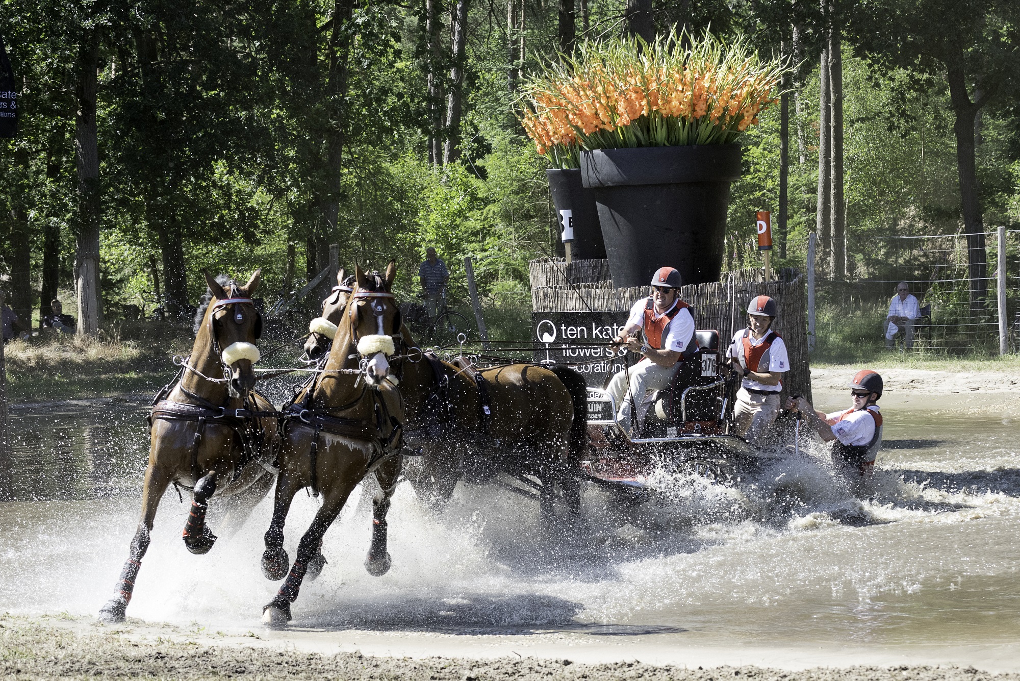 Topsport, show en gezelligheid