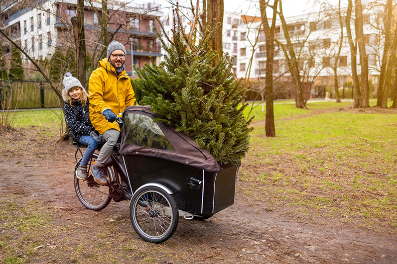 Kies dit jaar voor een duurzame kerstboom