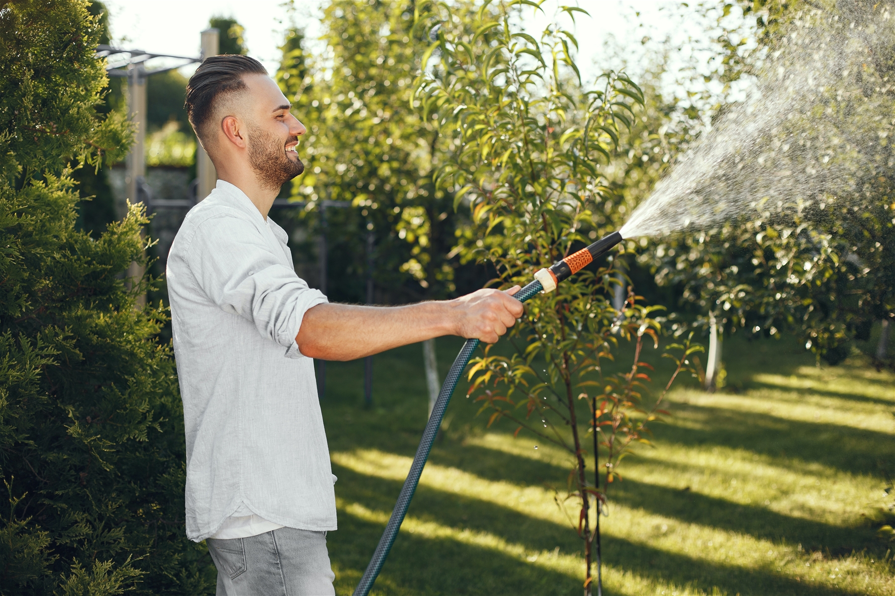 Houd je gazon mooi en gezond in de zomer: volg deze tips