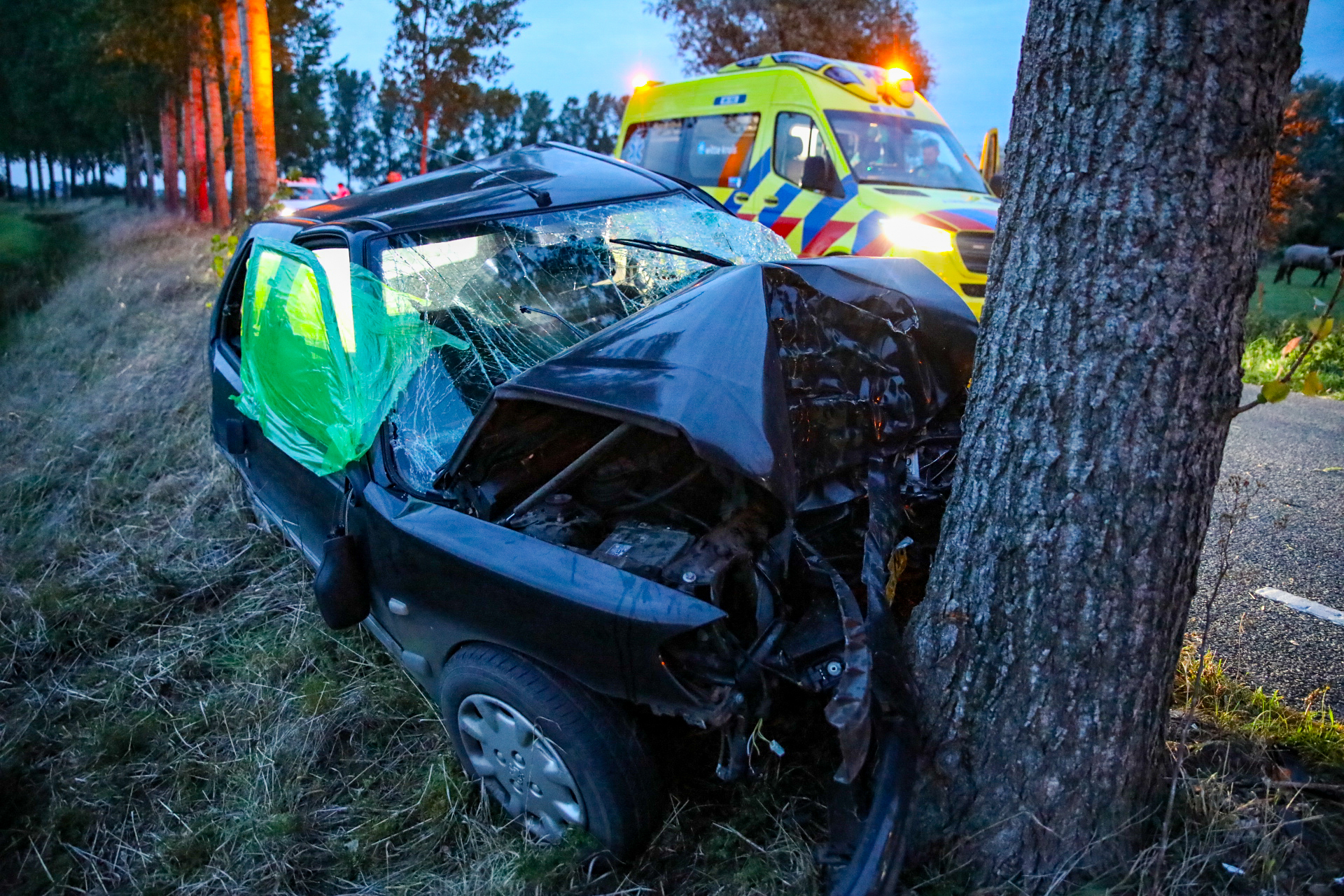 Auto botst tegen boom in Nijbroek; automobilist zwaargewond naar het ziekenhuis