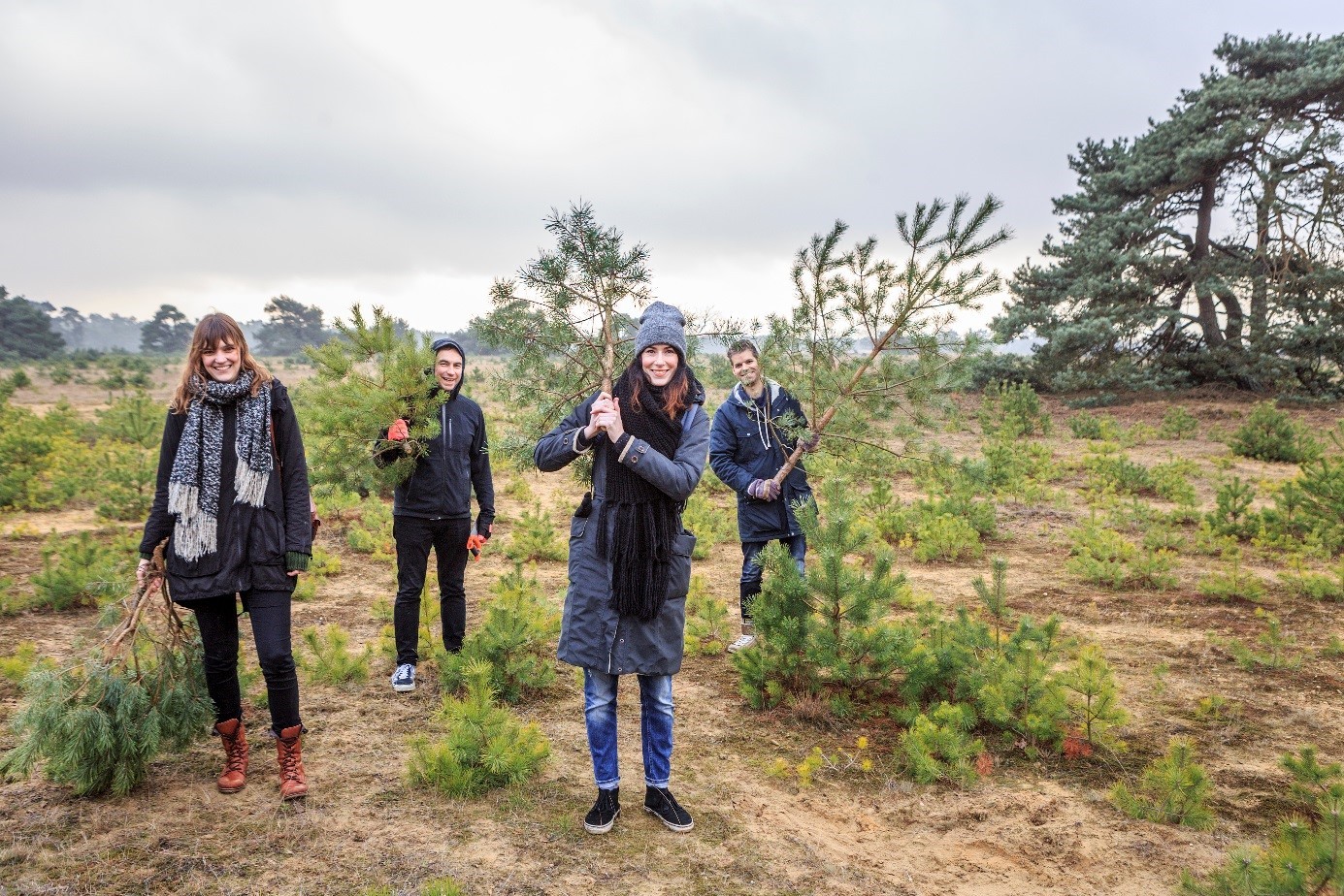Uittips voor Apeldoorn: Zaag je eigen kerstboom
