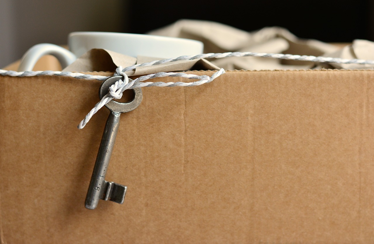 Verhuizen, verbouwen: dit zijn de voordelen van een gehuurde afvalcontainer