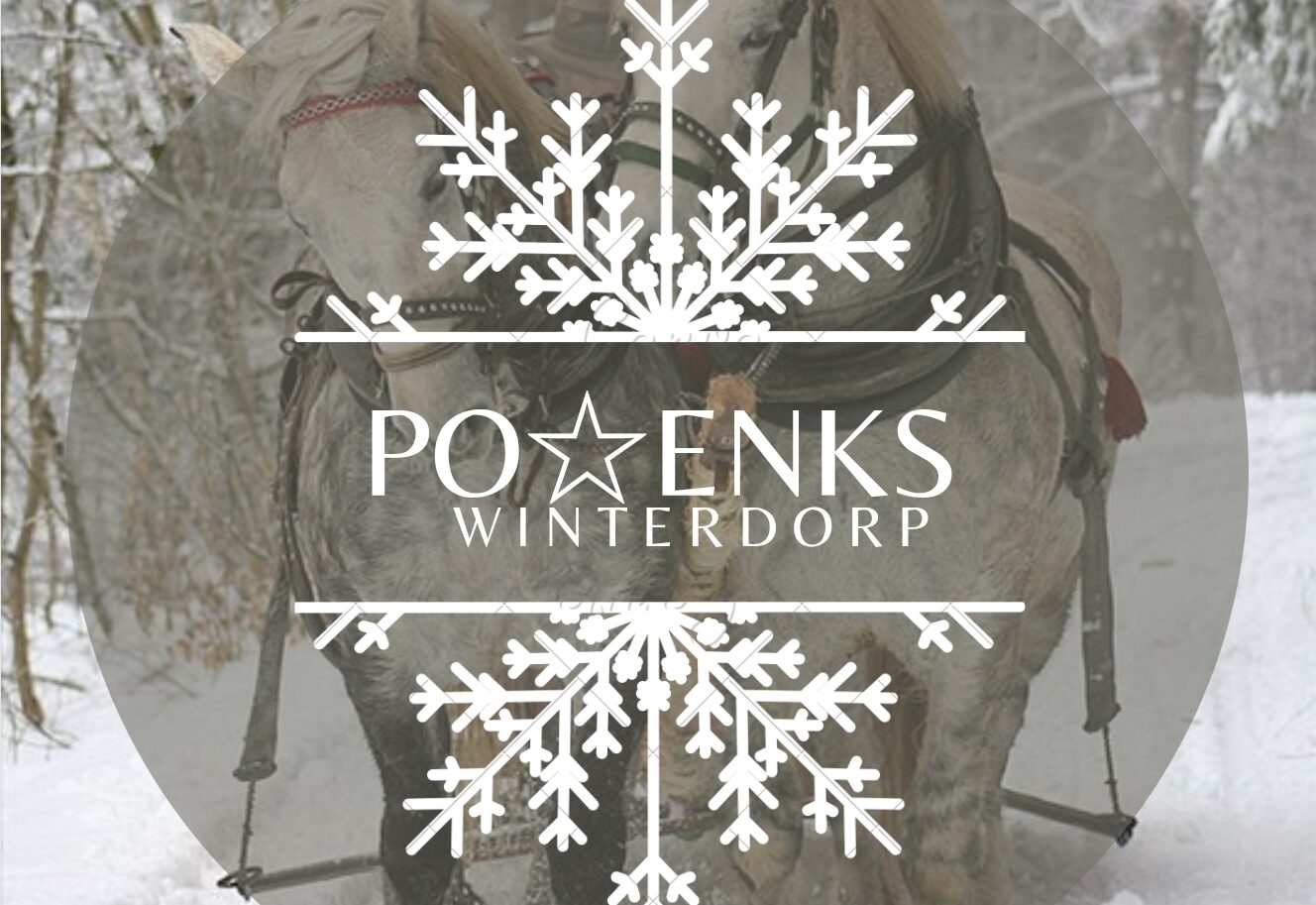 Sfeervol Winterdorp in Posterenk